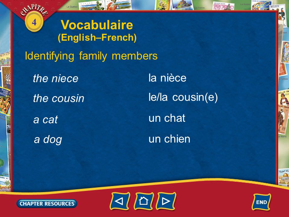 Vocabulaire Identifying family members the niece la nièce