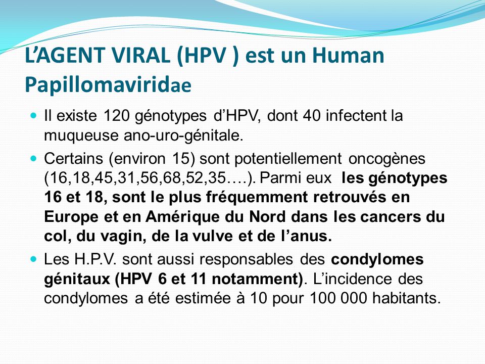 human papillomavirus vaccine herd immunity