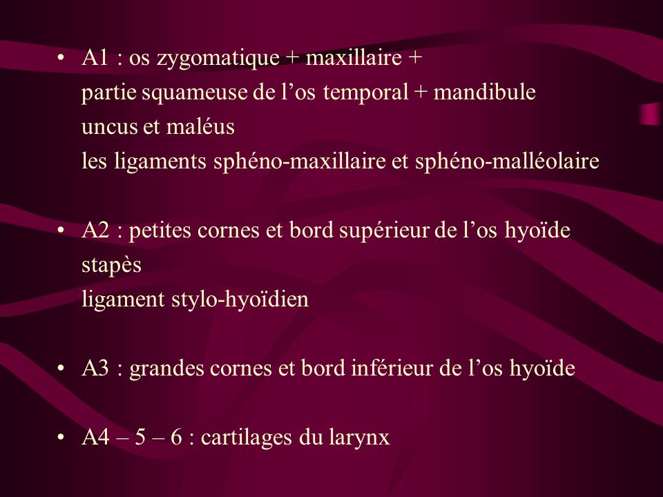 A1 : os zygomatique + maxillaire +