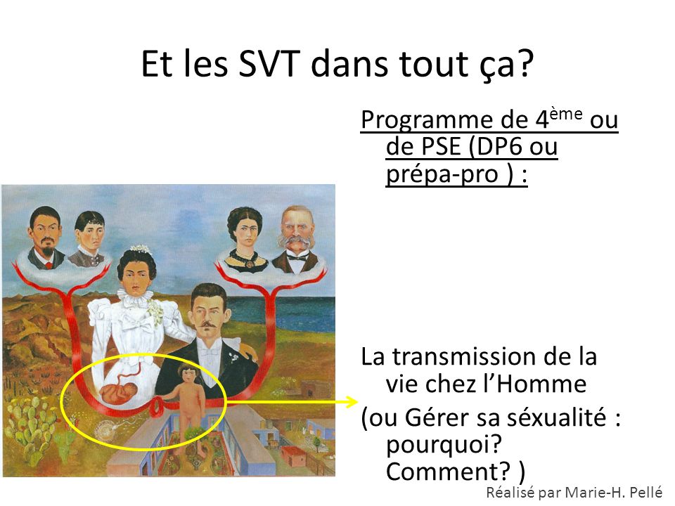 Et les SVT dans tout ça Programme de 4ème ou de PSE (DP6 ou prépa-pro ) : La transmission de la vie chez l’Homme.