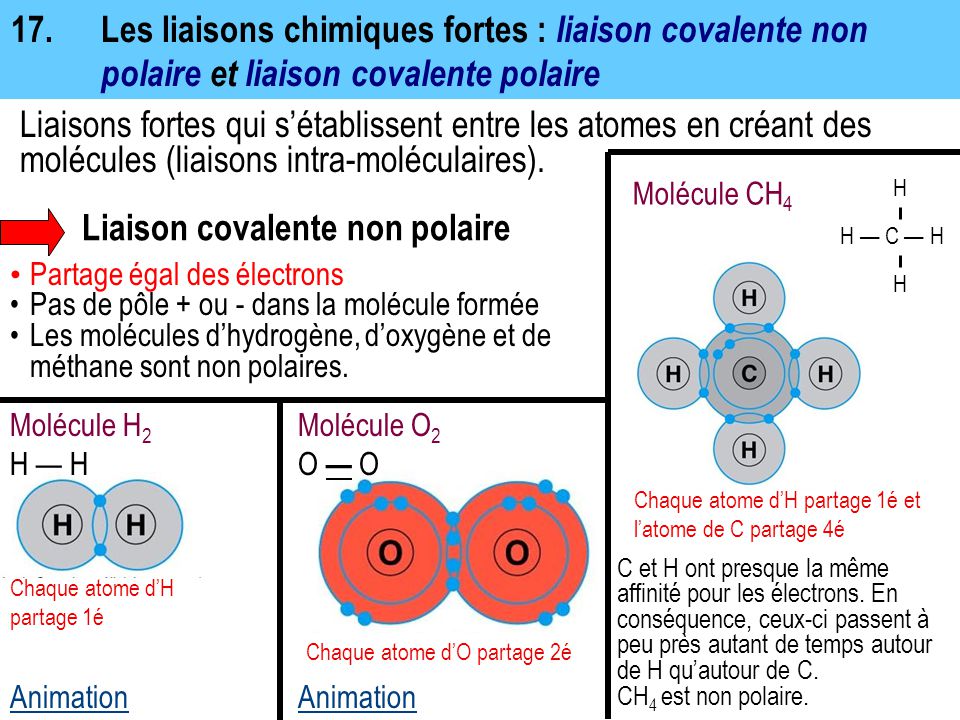 animation de liaisons chimiques