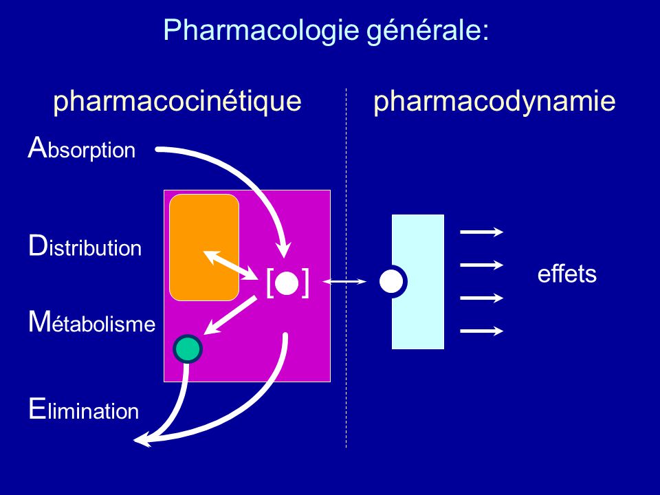 Cours De Pharmacologie Pharmacie