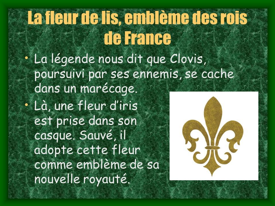 La fleur de lis, emblème des rois de France