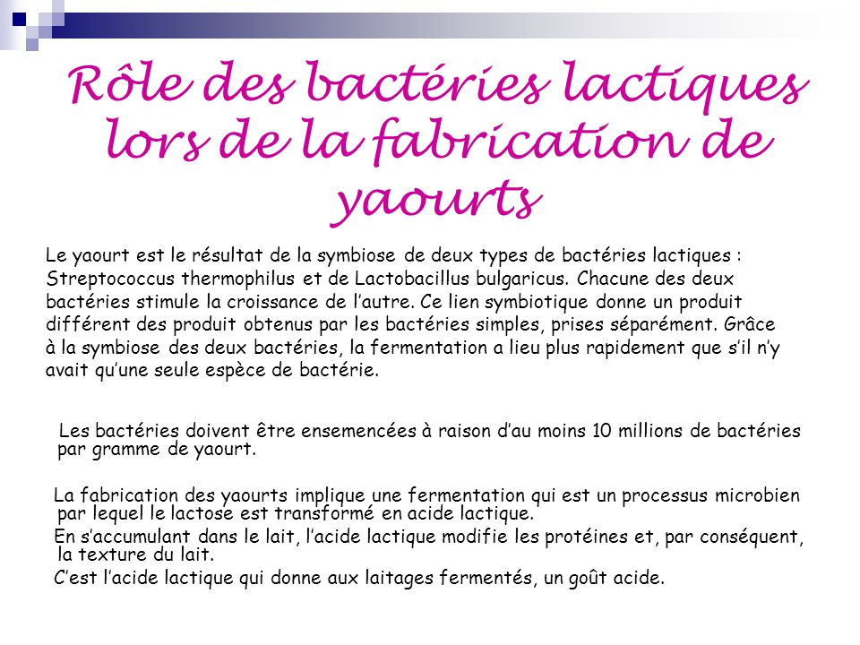 Lait : les bactéries lactiques