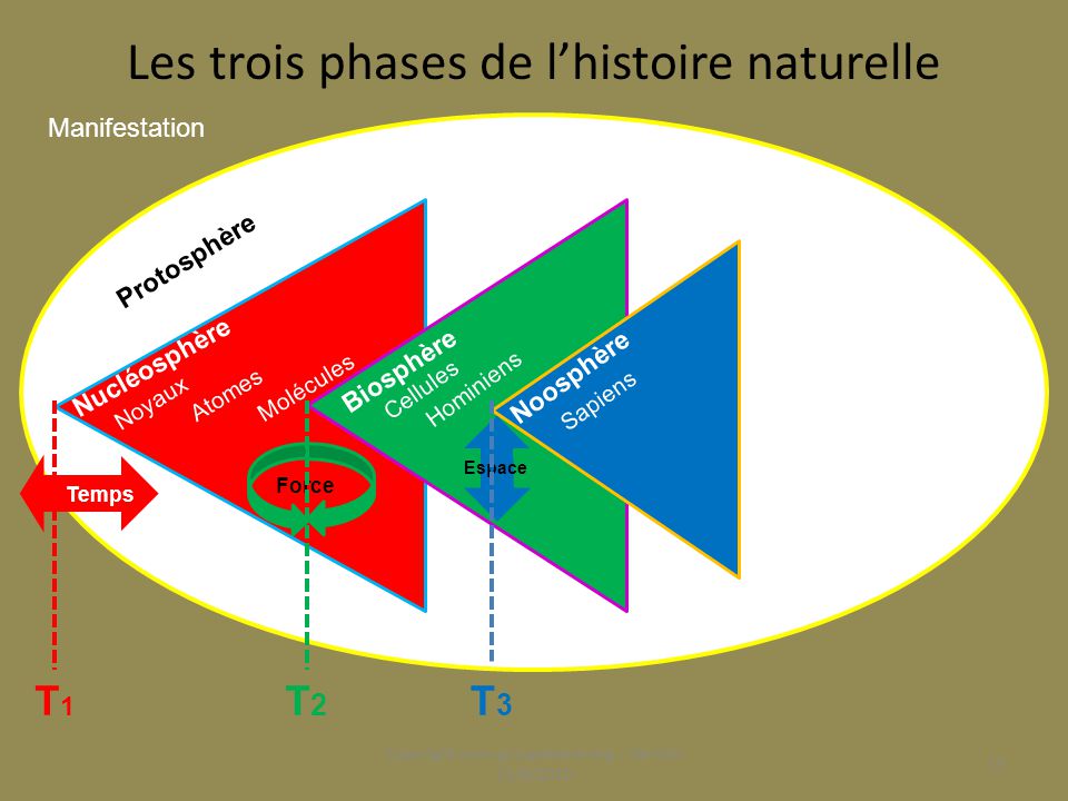 Les trois phases de l’histoire naturelle