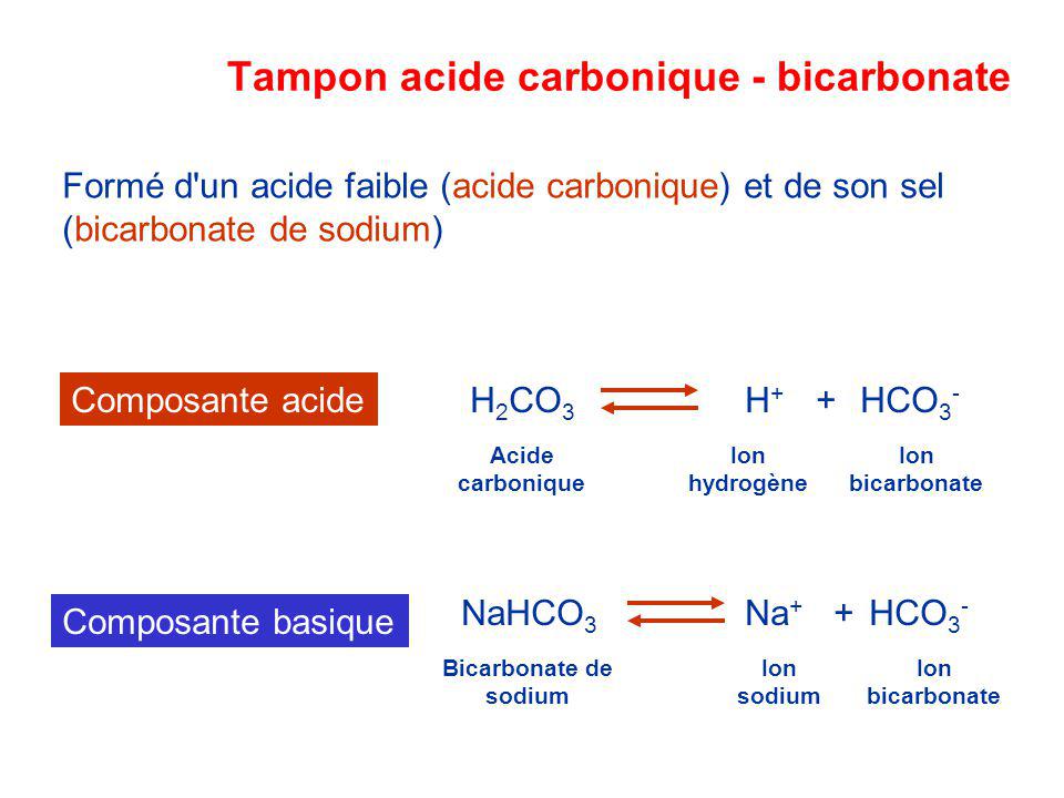 Tampon acide carbonique - bicarbonate