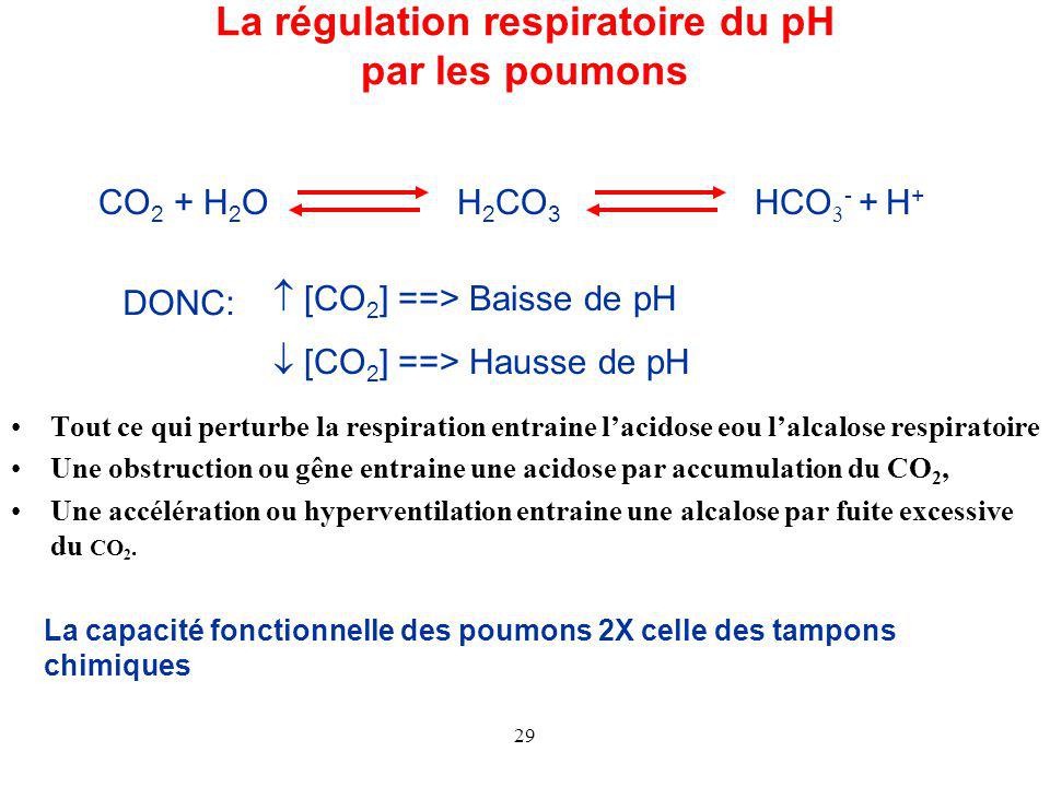 La régulation respiratoire du pH par les poumons