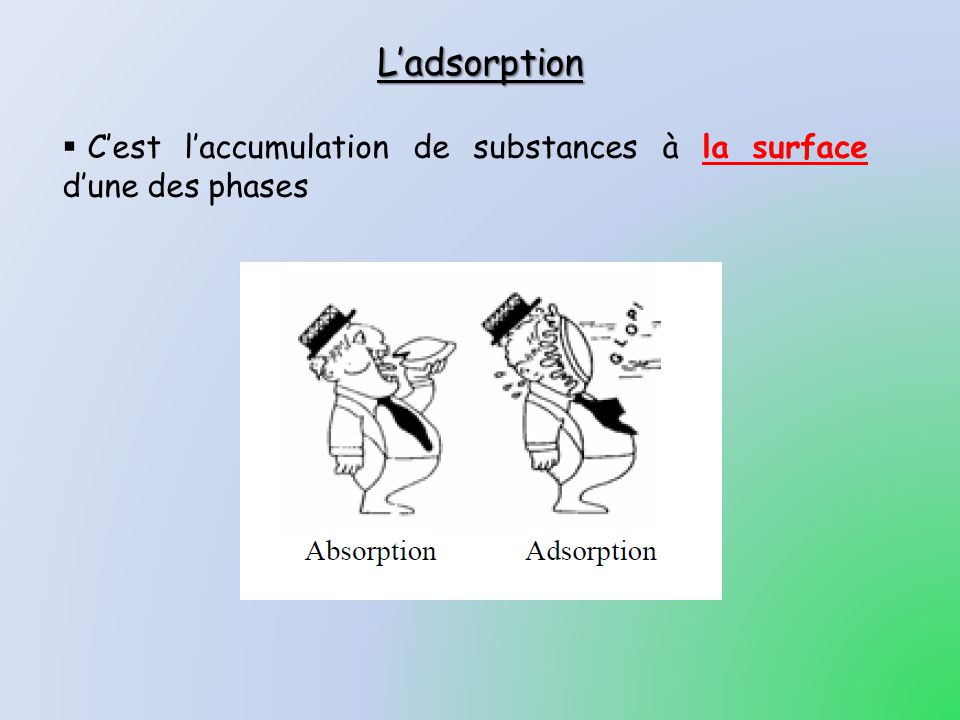 L’adsorption C’est l’accumulation de substances à la surface d’une des phases
