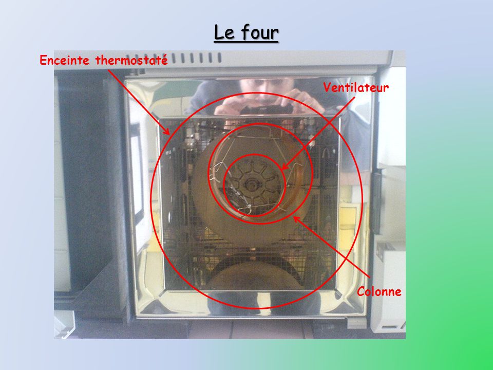 Le four Enceinte thermostaté Ventilateur Colonne