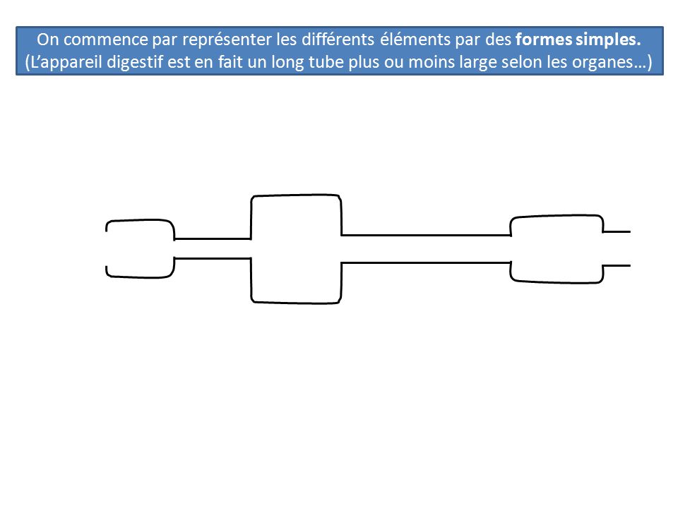 On commence par représenter les différents éléments par des formes simples.