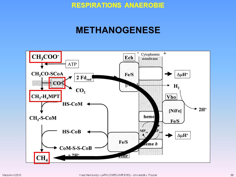 méthanogenèse