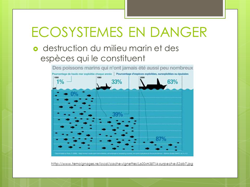 ECOSYSTEMES EN DANGER destruction du milieu marin et des espèces qui le constituent.