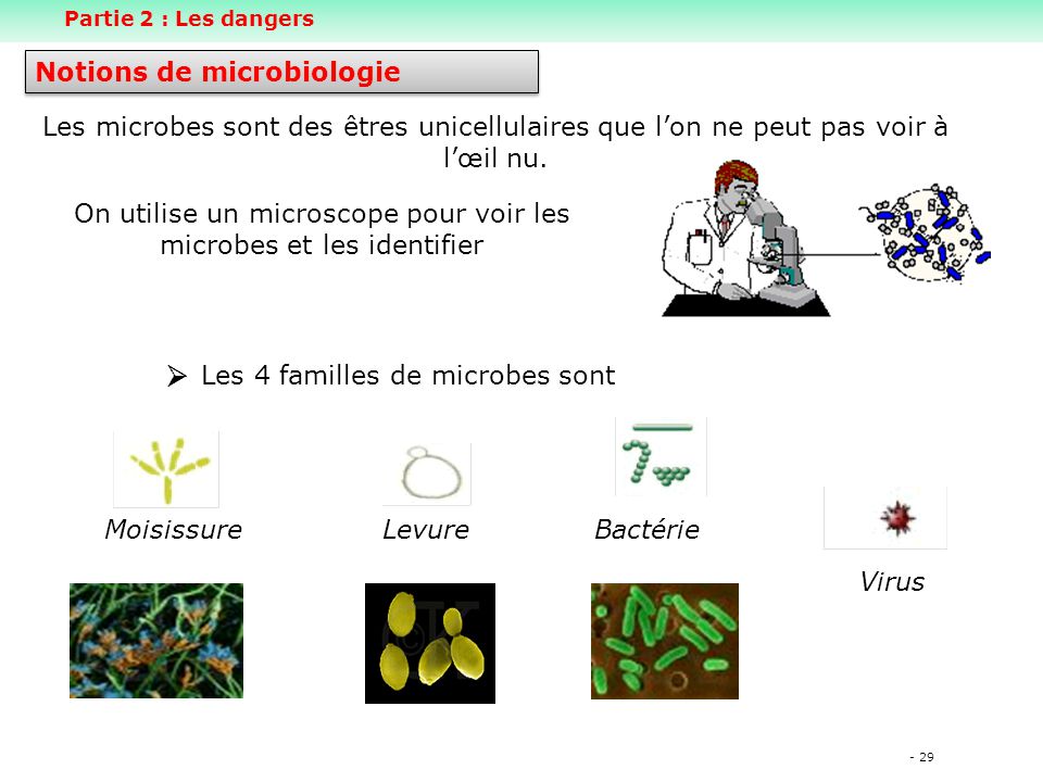 On utilise un microscope pour voir les microbes et les identifier