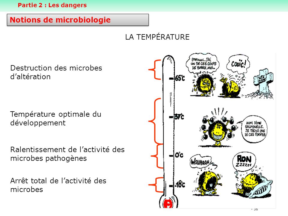 Notions de microbiologie