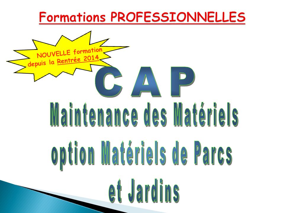 Formations PROFESSIONNELLES