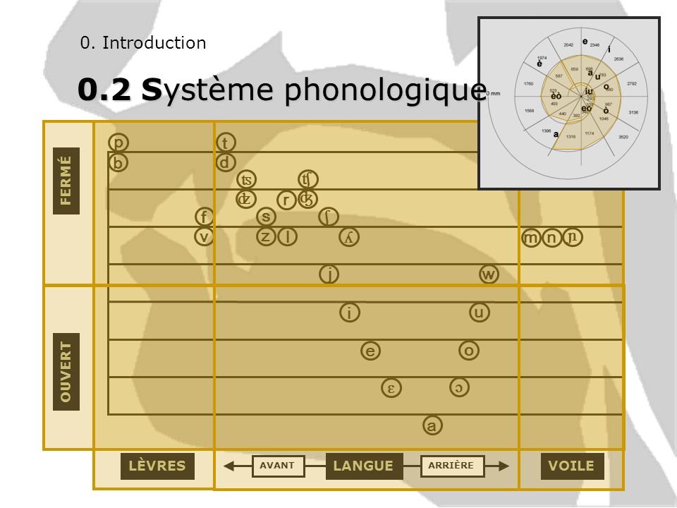 0.2 Système phonologique 0. Introduction ɔ i u o ɛ e a p ʦ ʧ ʎ ɲ b t v