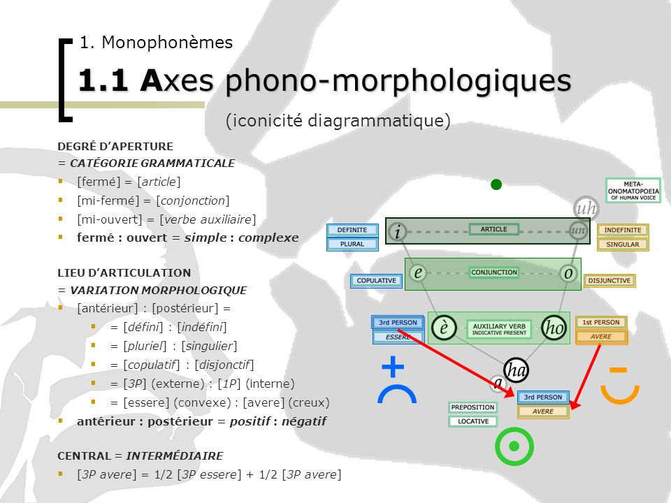 1.1 Axes phono-morphologiques