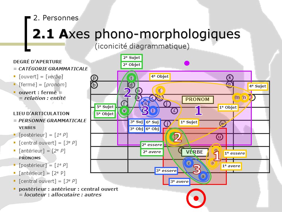 2.1 Axes phono-morphologiques