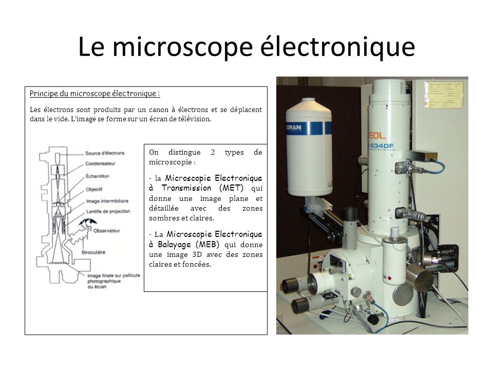 Le microscope électronique