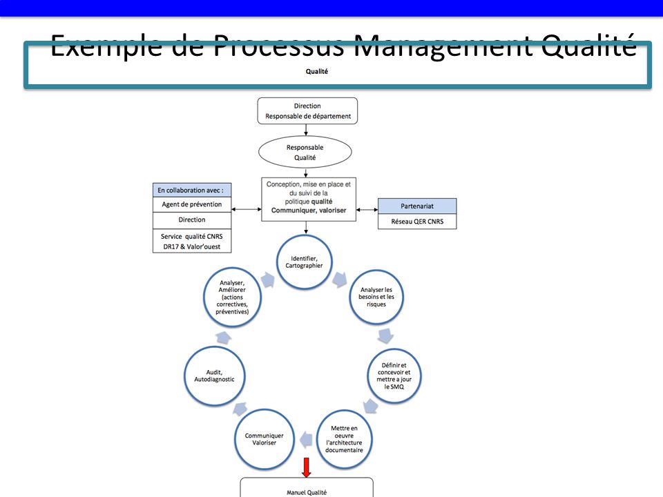 Exemple de Processus Management Qualité