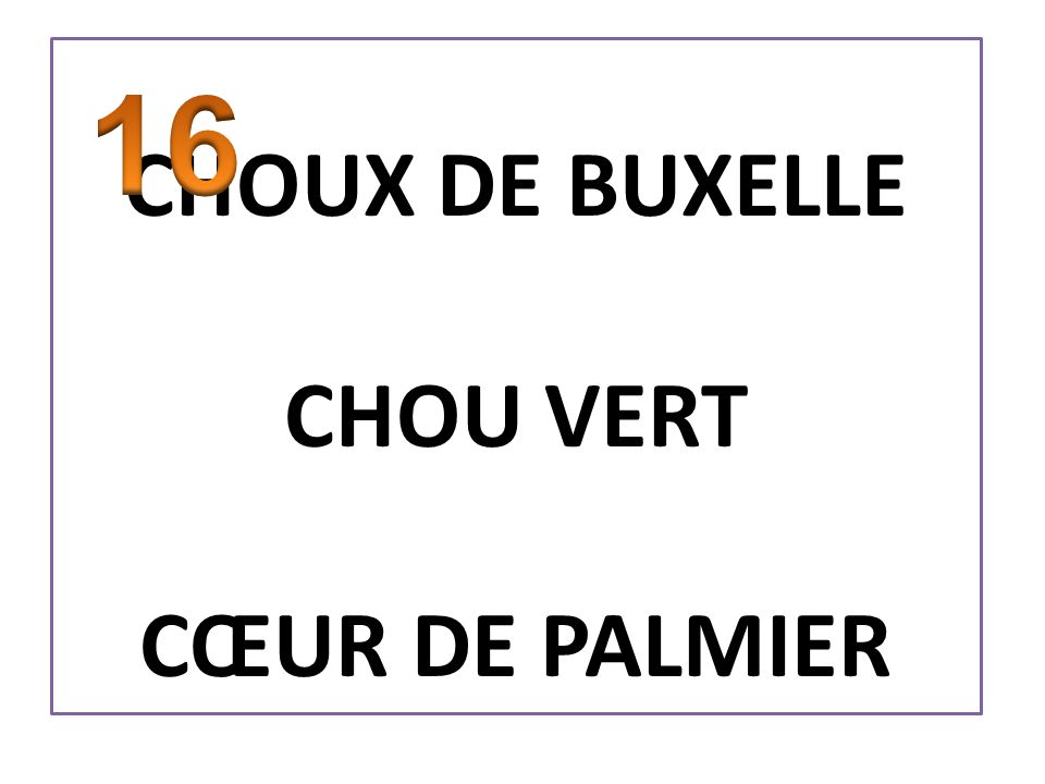 CHOUX DE BUXELLE CHOU VERT CŒUR DE PALMIER 16