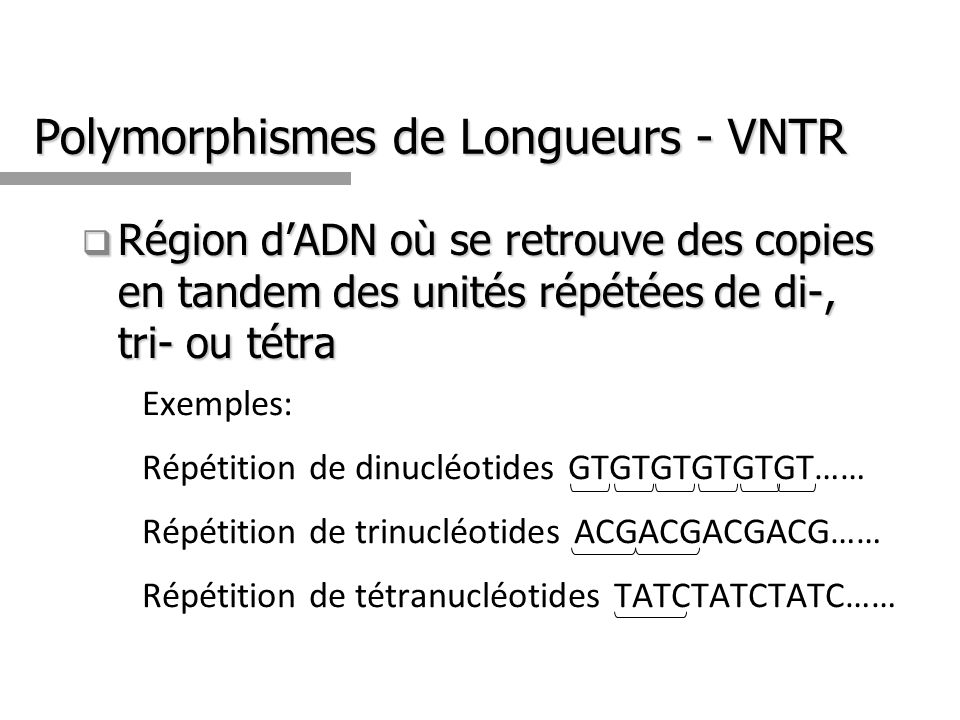 Polymorphismes de Longueurs - VNTR