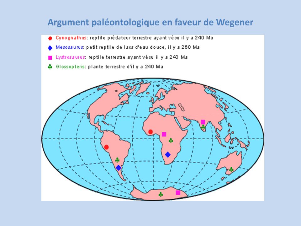 Argument paléontologique en faveur de Wegener
