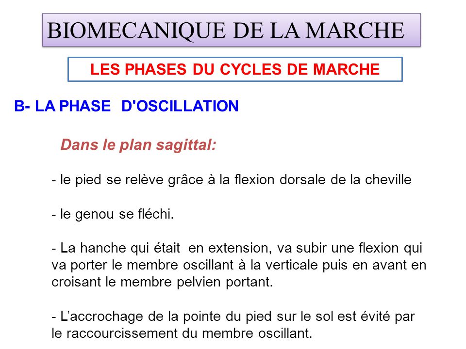 LES PHASES DU CYCLES DE MARCHE