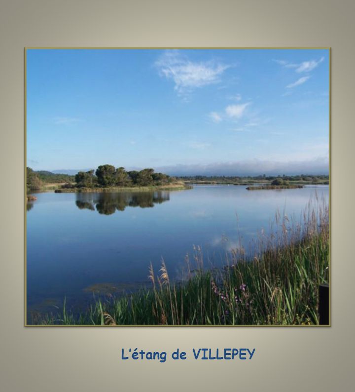 L’étang de VILLEPEY