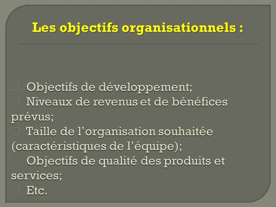 Les objectifs organisationnels :