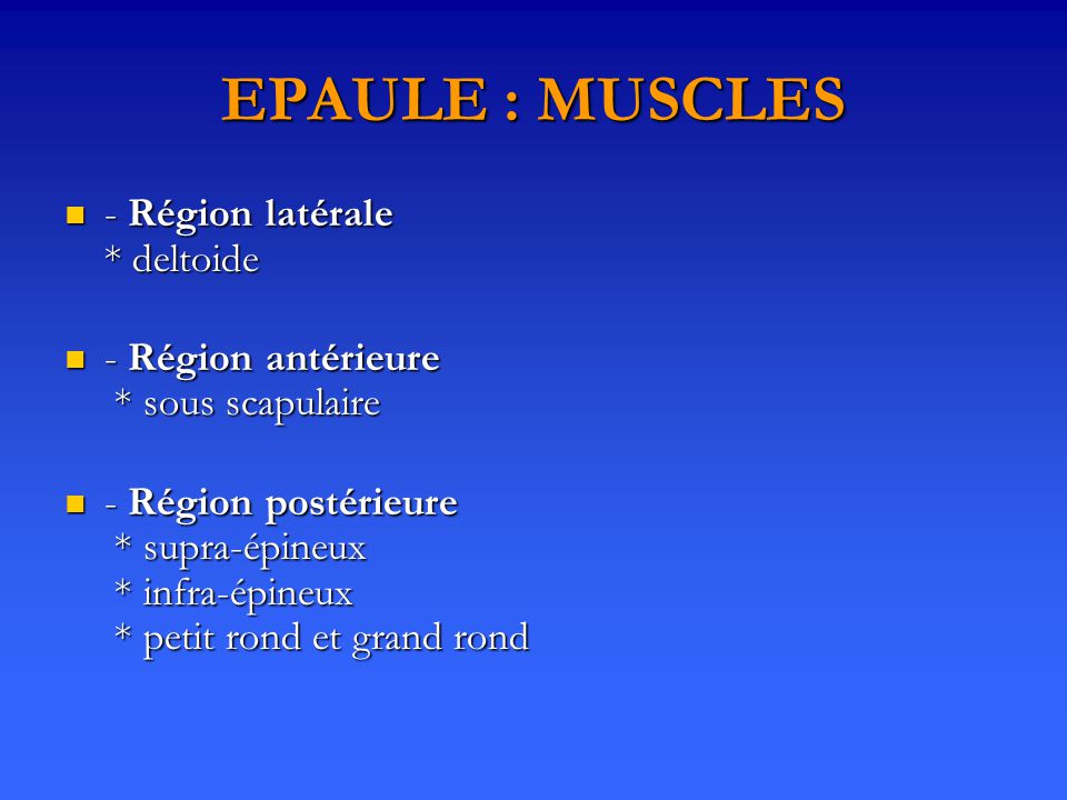 EPAULE : MUSCLES - Région latérale * deltoide