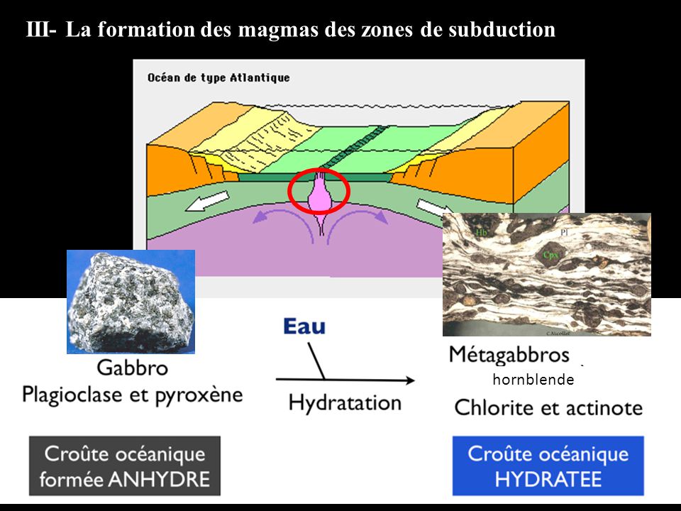 III- La formation des magmas des zones de subduction
