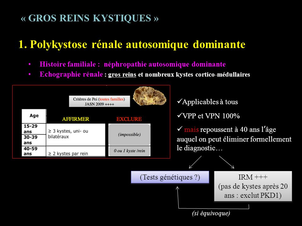 ECN 2012 REVISIONS En NEPHROLOGIE. - Ppt Video Online Télécharger