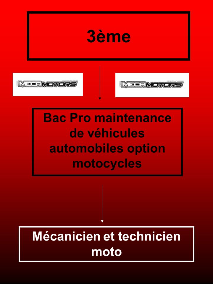 Bac Pro maintenance de véhicules automobiles option motocycles