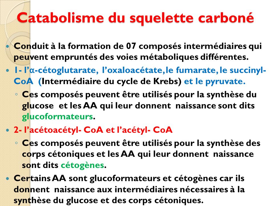 Catabolisme du squelette carboné