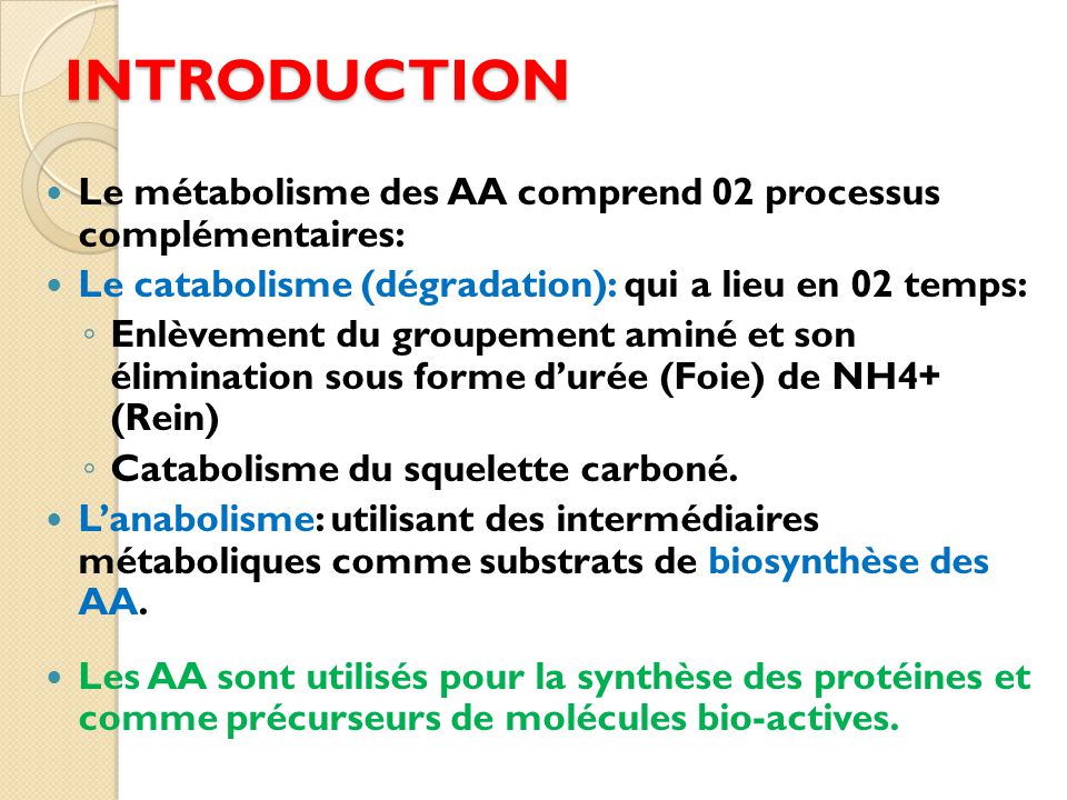INTRODUCTION Le métabolisme des AA comprend 02 processus complémentaires: Le catabolisme (dégradation): qui a lieu en 02 temps:
