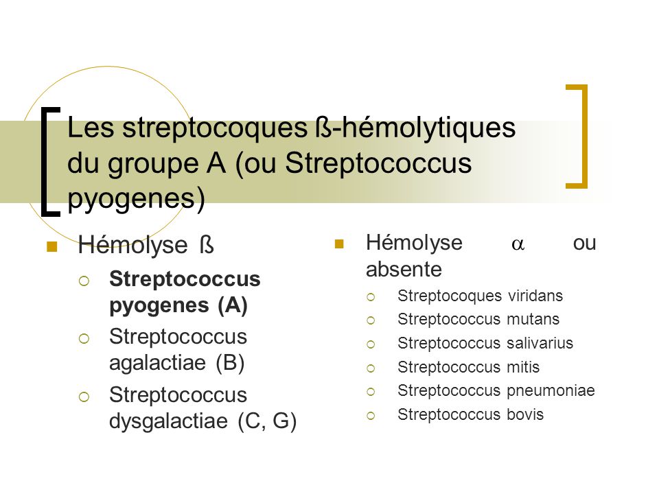 Les Infections à Streptocoques - Ppt Télécharger