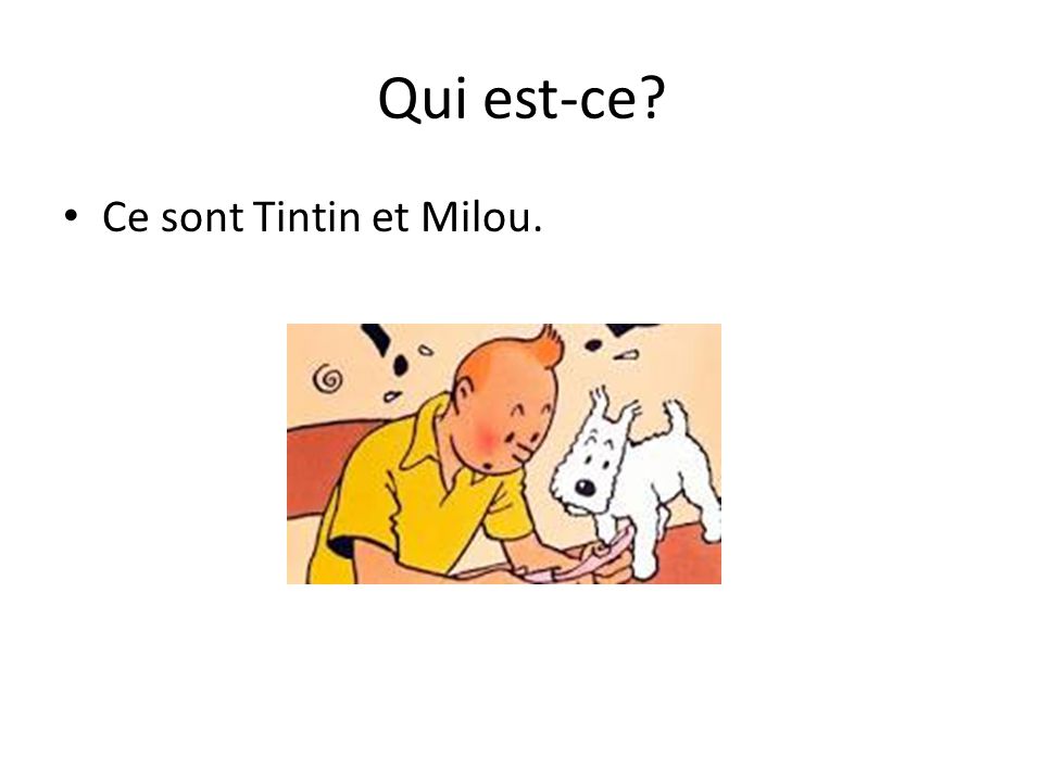 Qui est-ce Ce sont Tintin et Milou.