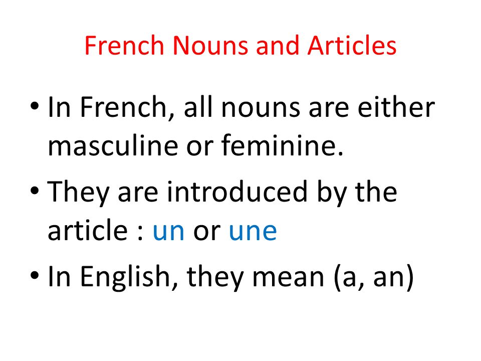 French Nouns and Articles