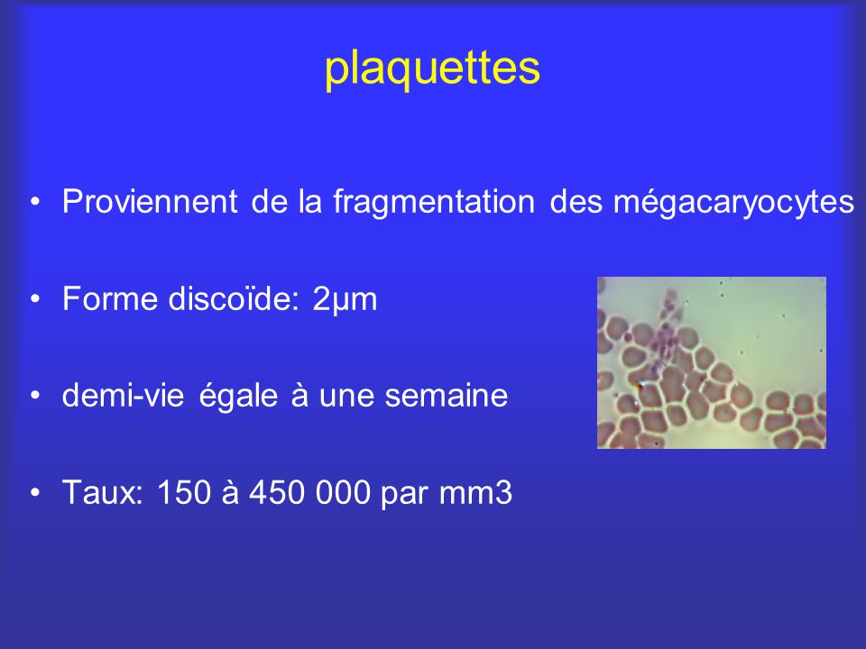 plaquettes Proviennent de la fragmentation des mégacaryocytes