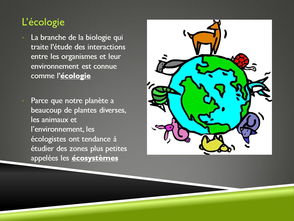 L’écologie La branche de la biologie qui traite l étude des interactions entre les organismes et leur environnement est connue comme l écologie.