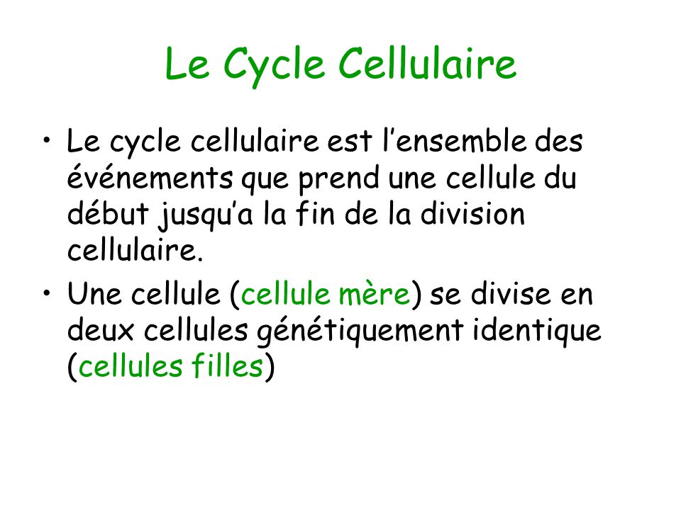 Le Cycle Cellulaire Le cycle cellulaire est l’ensemble des événements que prend une cellule du début jusqu’a la fin de la division cellulaire.