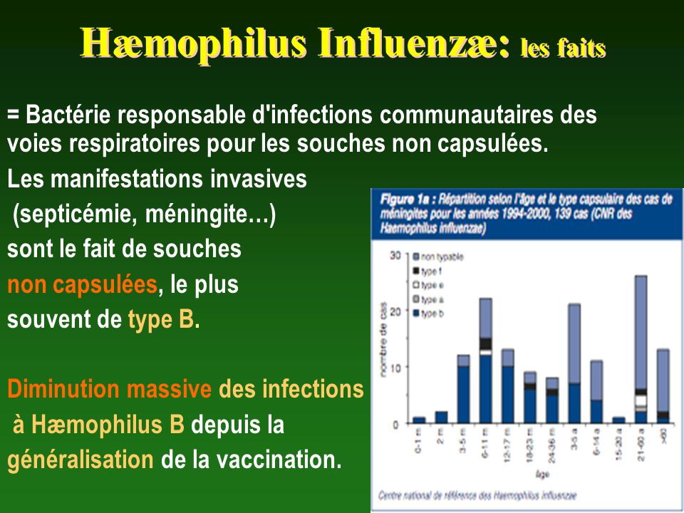 Hæmophilus Influenzæ: les faits