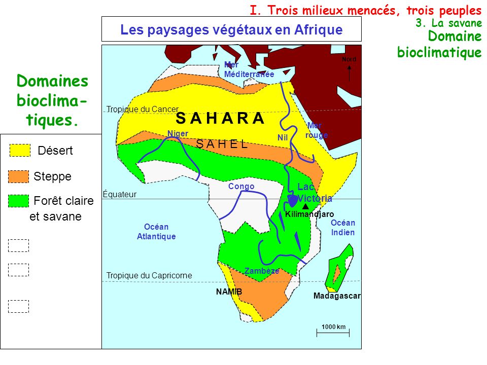 Les Paysages Vegetaux En Afrique Domaines Bioclima Tiques Ppt Telecharger