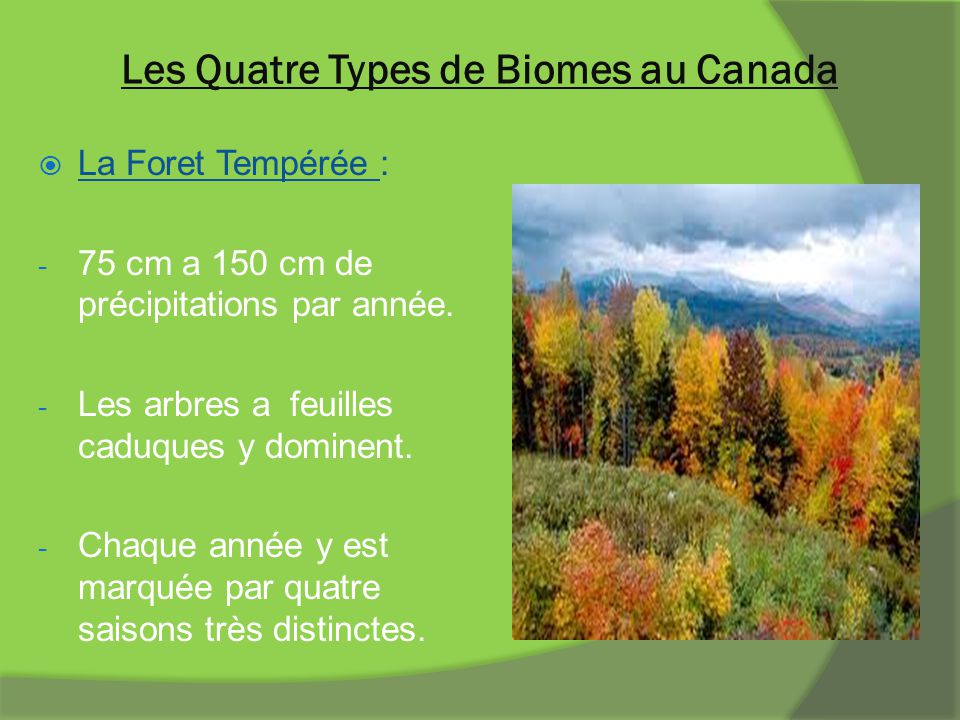 Les Quatre Types de Biomes au Canada