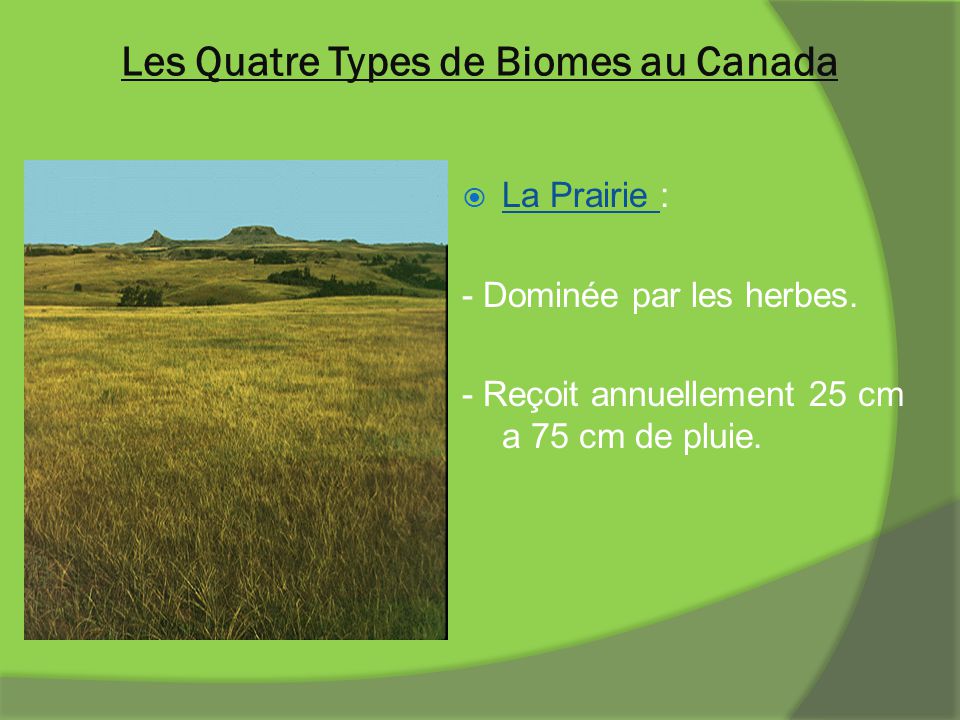 Les Quatre Types de Biomes au Canada