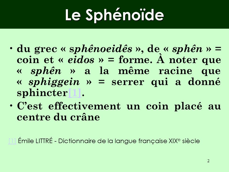 Le Sphénoïde