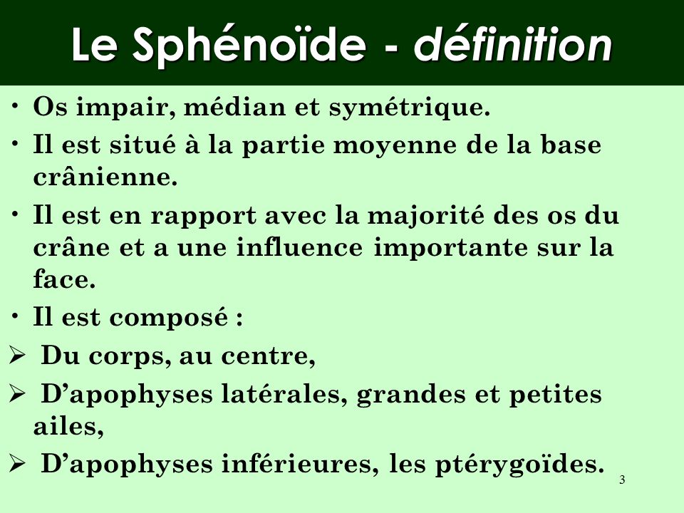 Le Sphénoïde - définition