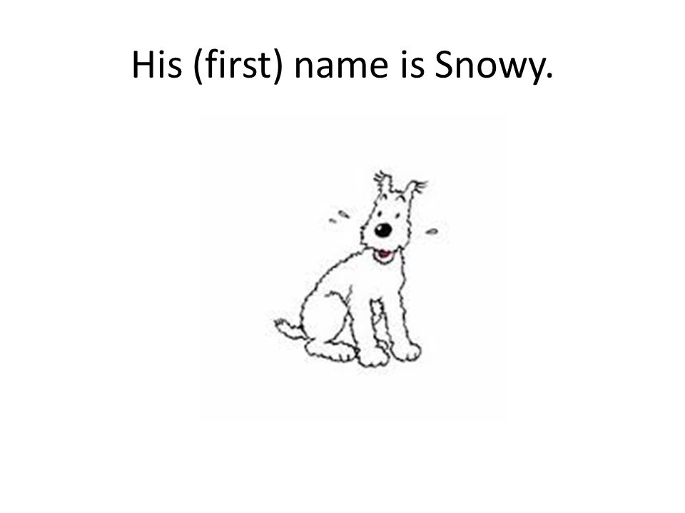 His (first) name is Snowy.
