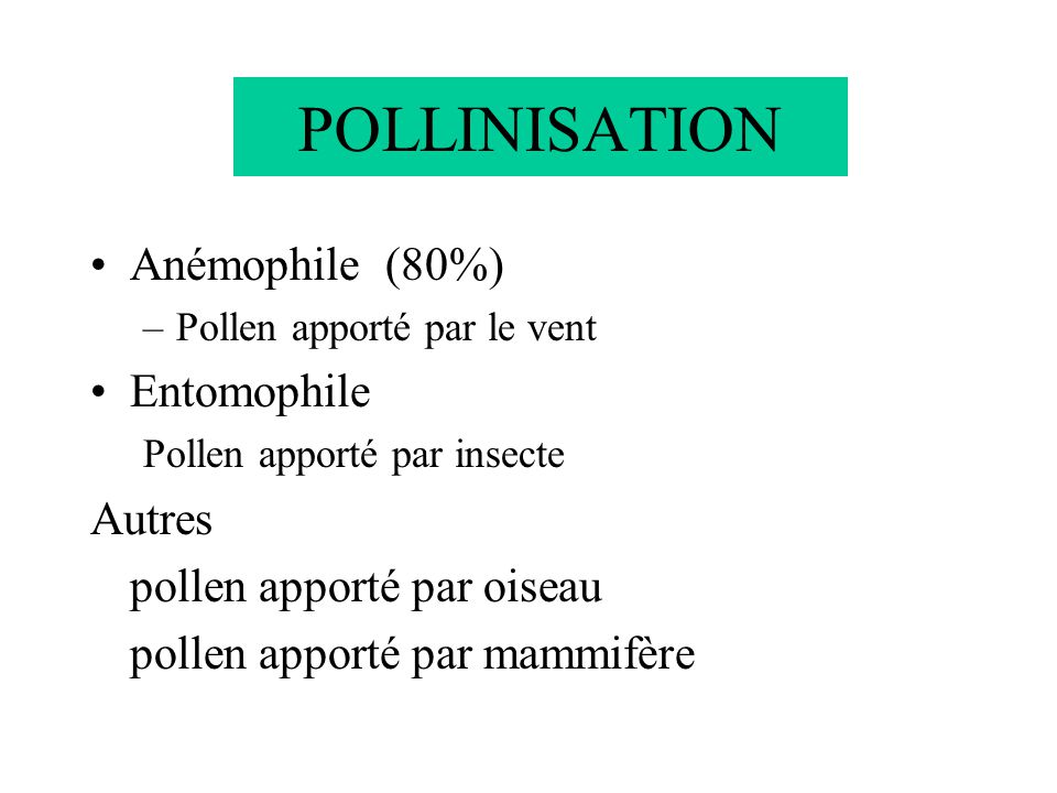 POLLINISATION Anémophile (80%) Entomophile Autres